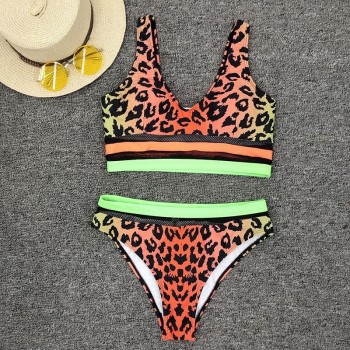 Leopard Printed Bikini 2021 New Swimwear Women Push Up Swimsuit Mesh Bikini Set High Waist
